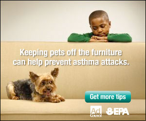 Keeping pets off furniture can prevent asthma attacks.