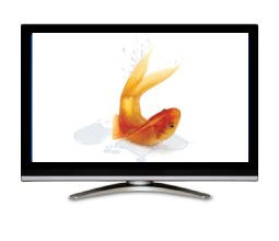image of a television